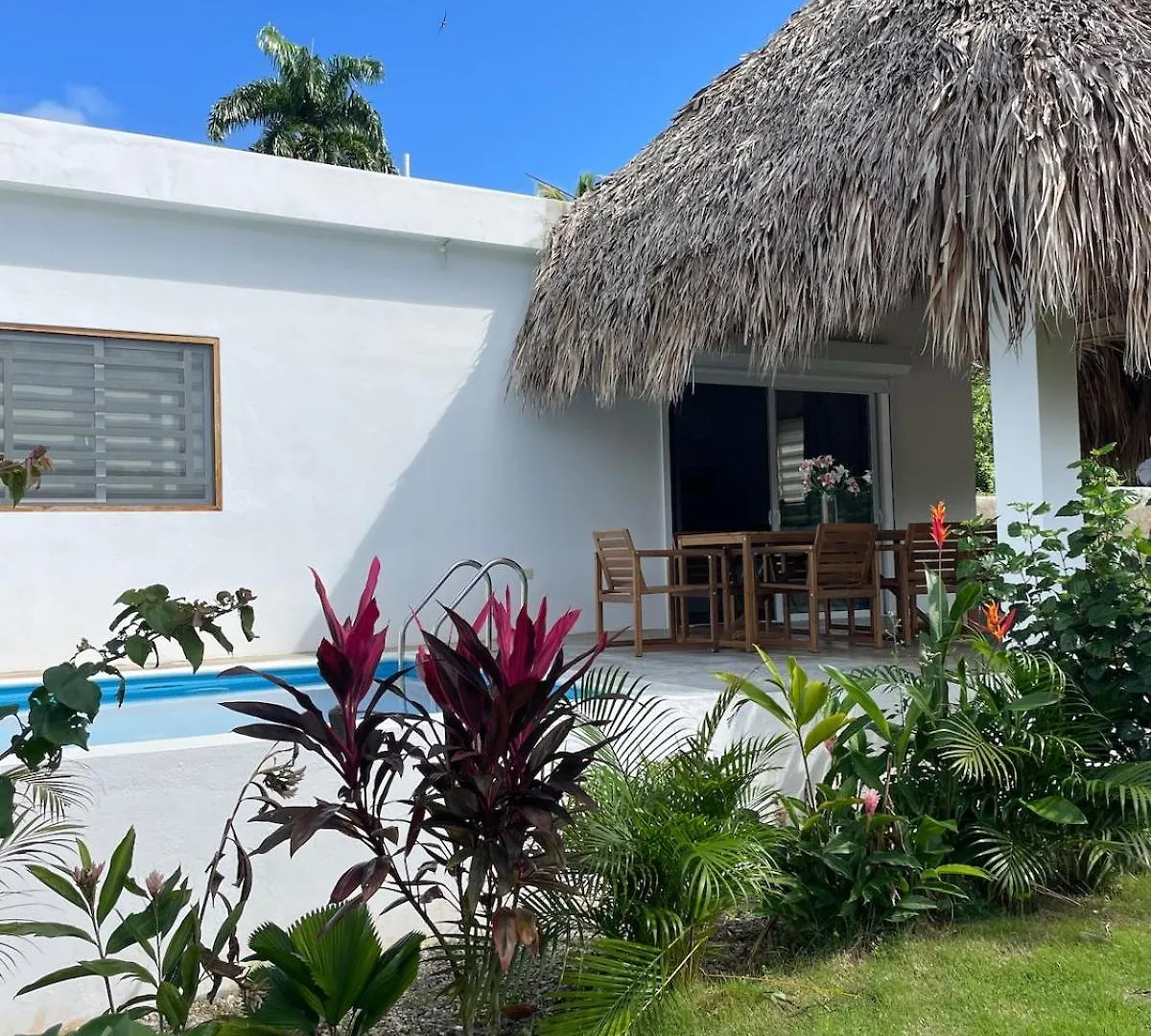 Dreams House Playita Lägenhet Las Galeras